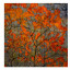 Настенный декор Autumn Leaves 2 - купить в Москве от фабрики Astley из Великобритании - фото №1